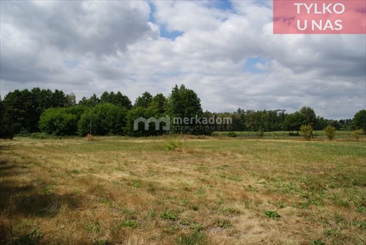 Działka budowlana na sprzedaż Lubonieczek 8 577m2 Foto 7