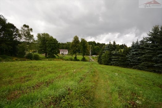 Działka budowlana na sprzedaż Przybówka 1 800m2 Foto 3