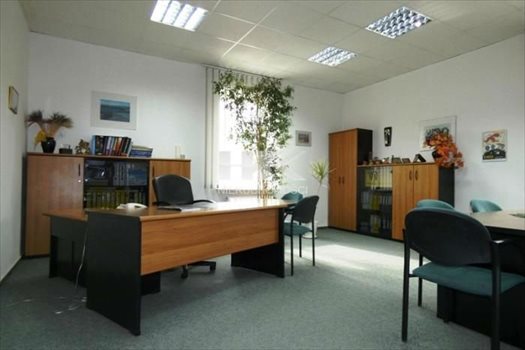 Lokal użytkowy na sprzedaż Zgorzelec 1 022m2 Foto 7