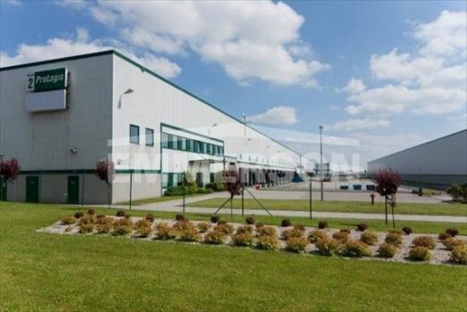 Lokal użytkowy na wynajem Błonie 3 500m2 Foto 3