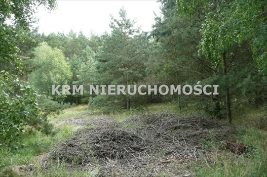 Działka rekreacyjna na sprzedaż BORY TUCHOLSKIE, LIPY, gm. STARA KISZEWA 2 024m2 Foto 4