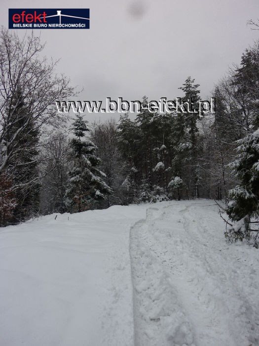 Działka rekreacyjna na sprzedaż Międzybrodzie Żywieckie 3 600m2 Foto 6