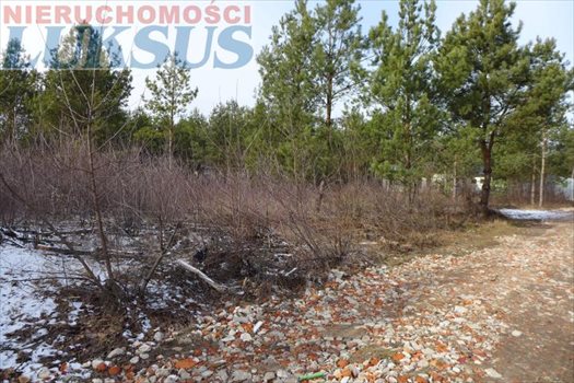 Działka budowlana na sprzedaż Łoś, Łoś 1 000m2 Foto 2