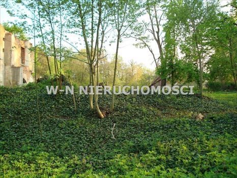 Lokal użytkowy na sprzedaż Bytom Odrzański, Bodzów 9 600m2 Foto 8