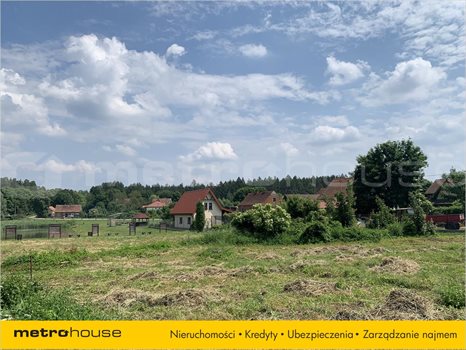 Działka inna na sprzedaż Lipowo Kurkowskie, Olsztynek 2 035m2 Foto 6