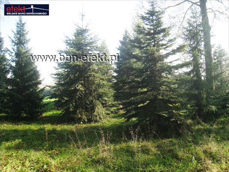 Działka inna na sprzedaż Jaworze 3 390m2 Foto 6