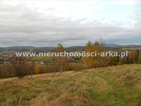 Działka rolna na sprzedaż Jordanów 3 300m2 Foto 3
