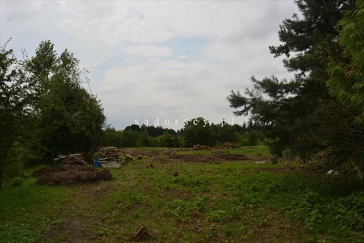 Działka budowlana na sprzedaż Kraków, Dębniki, Kliny, Spacerowa 2 609m2 Foto 12