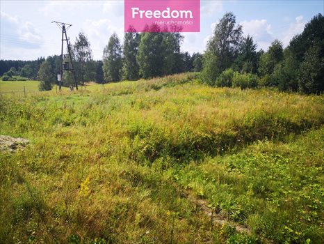 Działka budowlana na sprzedaż Orzechowo 25 000m2 Foto 13