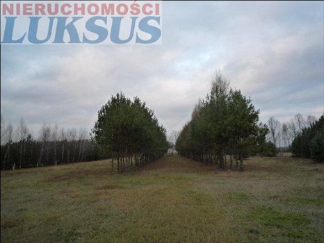 Działka budowlana pod dzierżawę Biały Ług, Biały Ług 12 300m2 Foto 9