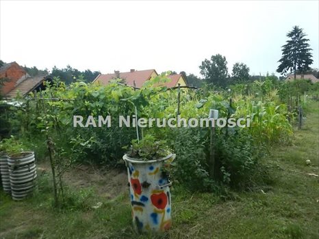Dom na wynajem Kulów 70m2 Foto 7