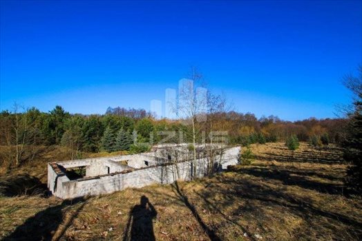 Działka inna na sprzedaż Bielkówko, Dworcowa 10 000m2 Foto 4