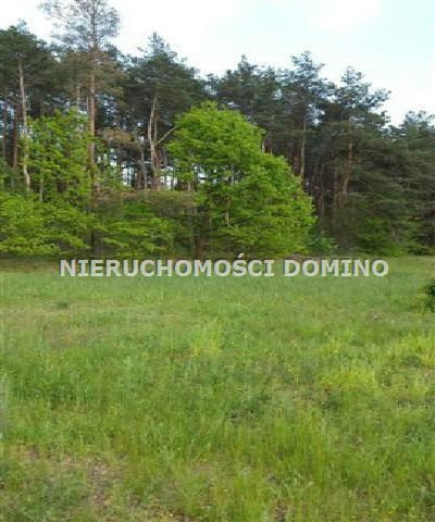 Działka inwestycyjna na sprzedaż Łódź, Polesie 20 277m2 Foto 3
