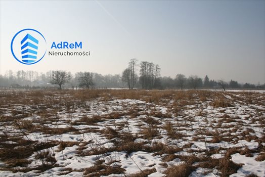 Działka rolna na sprzedaż Kępa Oborska 2 350m2 Foto 2