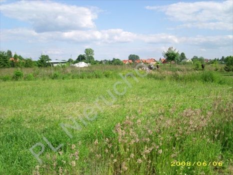 Działka budowlana na sprzedaż Żółwin 1 000m2 Foto 2