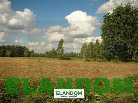 Działka budowlana na sprzedaż Kamieńczyk 1 080m2 Foto 2