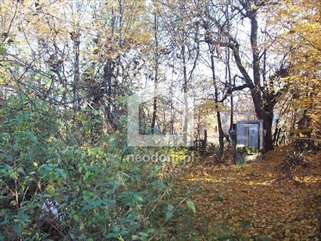 Działka inna na sprzedaż Gaj 800m2 Foto 5