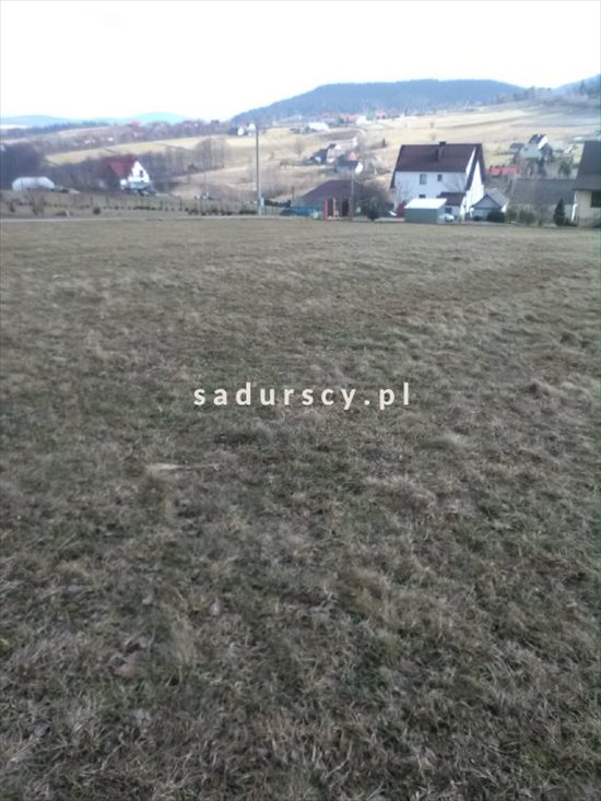 Działka inna na sprzedaż Siekierczyna 2 200m2 Foto 4