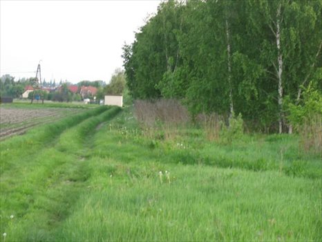 Działka inwestycyjna pod dzierżawę Warszawa, Ursynów 6 000m2 Foto 3