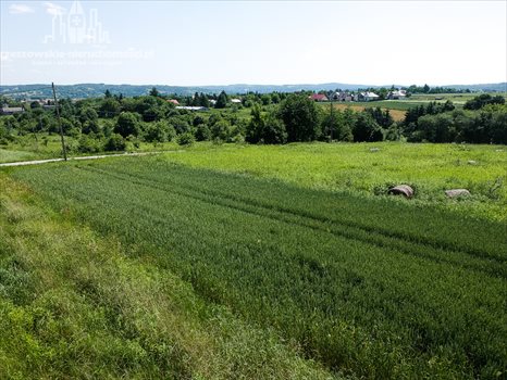 Działka budowlana na sprzedaż Boguchwała 2 216m2 Foto 6