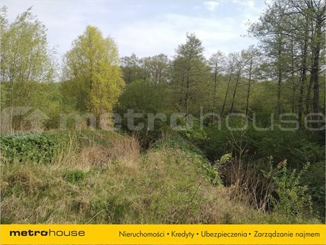Działka rolna na sprzedaż Kamionek Wielki, Tolkmicko 8 270m2 Foto 6