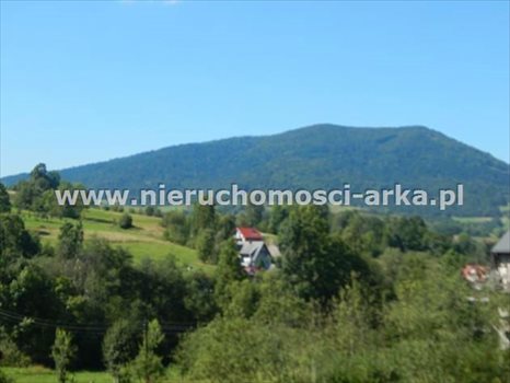 Działka budowlana na sprzedaż Olszówka 1 900m2 Foto 3