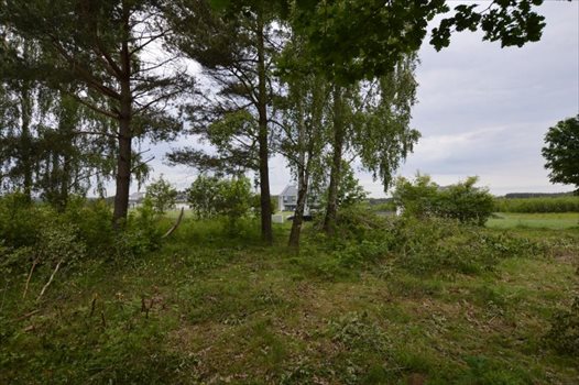 Działka budowlana na sprzedaż Bojano, Las, Tereny rekreacyjne, Lesoki 1 500m2 Foto 10