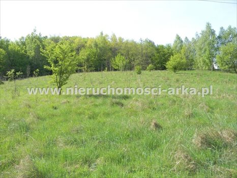 Działka budowlana na sprzedaż Limanowa 5 500m2 Foto 2