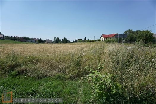 Działka budowlana na sprzedaż Cianowice Duże 14 384m2 Foto 2