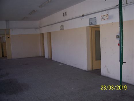 Lokal użytkowy na sprzedaż Przyborów, Droga na Borzęcin 650m2 Foto 5