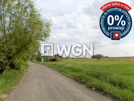 Działka inna na sprzedaż Krzywe 3 000m2 Foto 1