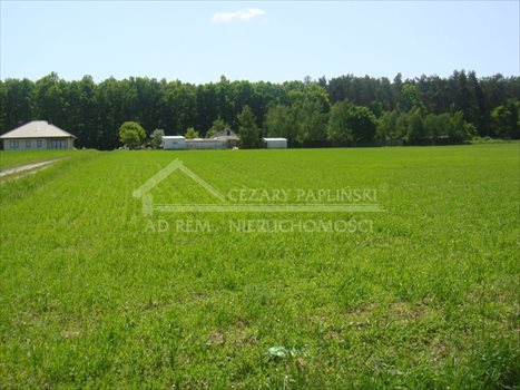 Działka budowlana na sprzedaż Majdan Mętowski, Majdan Mętowski 900m2 Foto 6