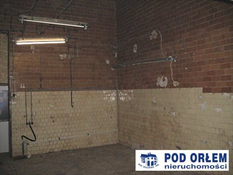 Lokal użytkowy na wynajem Bielsko-Biała, Centrum 257m2 Foto 5