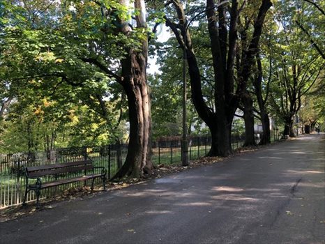 Działka budowlana na sprzedaż Kraków, Zwierzyniec, al. Waszyngtona, Jerzego 9 117m2 Foto 2