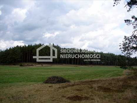 Działka leśna na sprzedaż Małe Chełmy 165 900m2 Foto 9