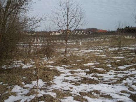 Działka budowlana na sprzedaż Jankowo Gdańskie, JANKOWO GDAŃSKIE, Podgórna 8 114m2 Foto 4