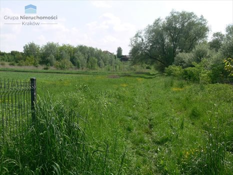 Działka budowlana na sprzedaż Masłomiąca, Choinkowa 1 200m2 Foto 2