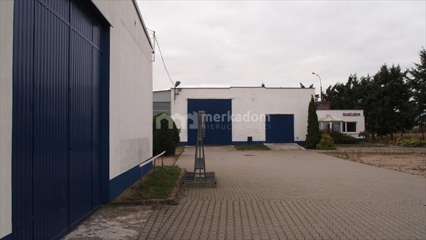 Lokal użytkowy na sprzedaż Buk 1 500m2 Foto 8