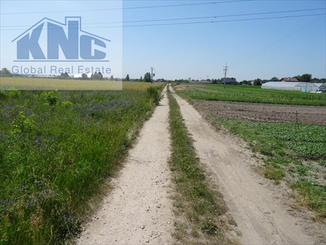 Działka budowlana na sprzedaż Poniatów 929m2 Foto 3