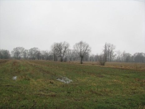 Działka budowlana na sprzedaż Otusz, Otusz 1 220m2 Foto 3