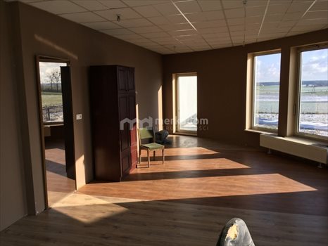 Lokal użytkowy na sprzedaż Tarnowo Podgórne 4 000m2 Foto 8
