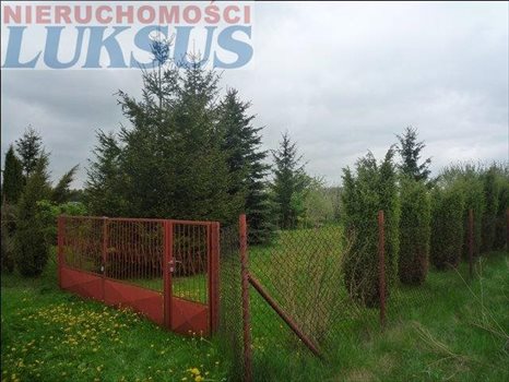 Działka budowlana na sprzedaż Łoś, Łoś 1 200m2 Foto 5