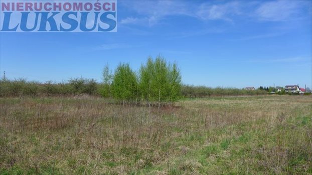 Działka budowlana na sprzedaż Grzędy 1 717m2 Foto 6