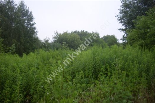 Działka budowlana na sprzedaż Kanie, mkwadrat.eu - wejdź i zobacz sprawdzone oferty nieruchomości 2 196m2 Foto 3