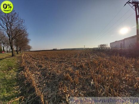 Działka inwestycyjna na sprzedaż Domasław, Oławska 7 000m2 Foto 3