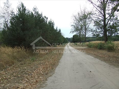 Działka budowlana na sprzedaż Nowodwór 2 800m2 Foto 5