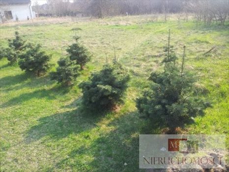 Działka budowlana na sprzedaż Kotórz Mały 800m2 Foto 1