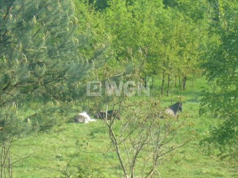 Działka inwestycyjna na sprzedaż Wrocław, Fabryczna, Jarnołtowska 28 143m2 Foto 4