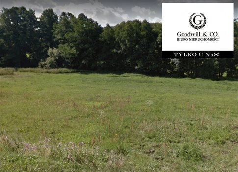 Działka budowlana na sprzedaż Czapielsk, Jarzębinowa 3 000m2 Foto 1