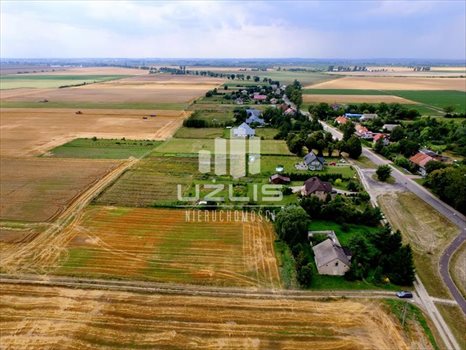 Działka inna na sprzedaż Malbork, Dąbrowa 3 766m2 Foto 4
